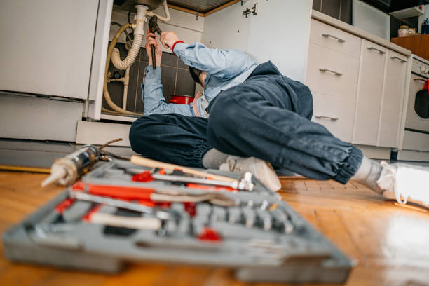 Best Local Plumber Services  in Dandridge, TN