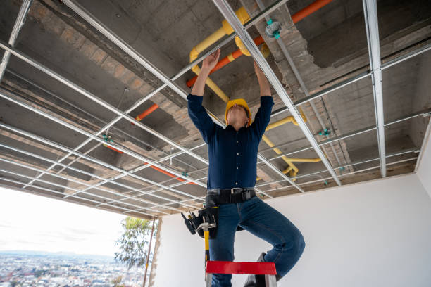 Best Emergency Plumber  in Dandridge, TN