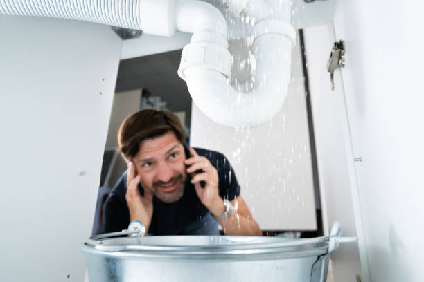 Best Pipe Repair Near Me  in Dandridge, TN