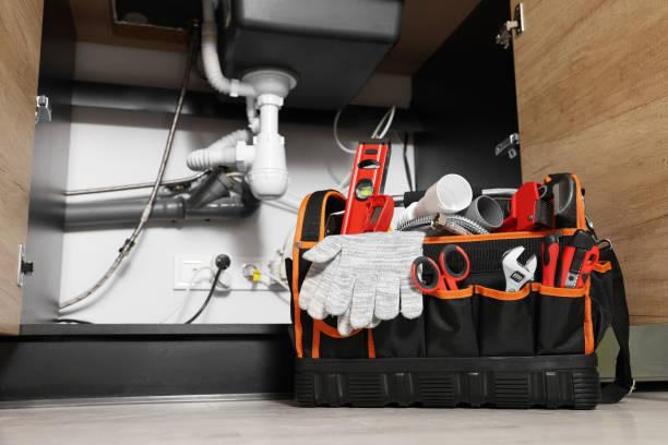 Best Clogged Drain Plumber  in Dandridge, TN