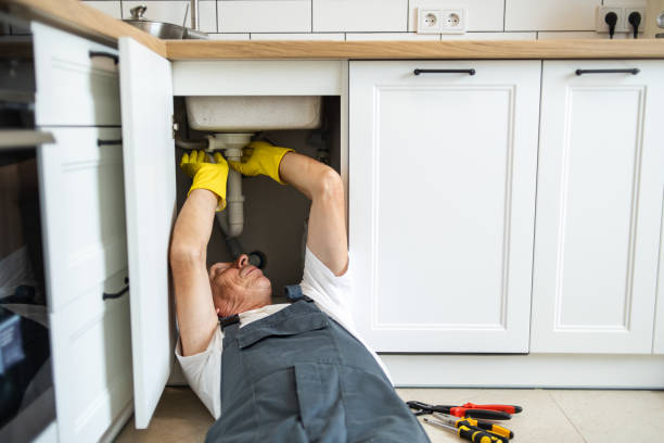 Best Shower Repair Services  in Dandridge, TN